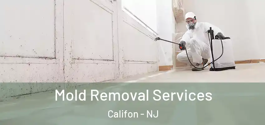  Mold Removal Services Califon - NJ
