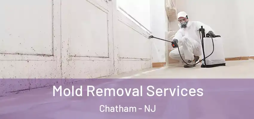  Mold Removal Services Chatham - NJ