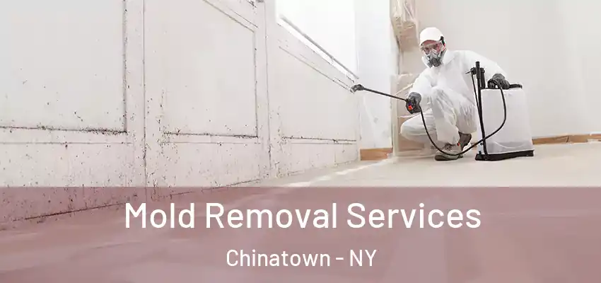 Mold Removal Services Chinatown - NY