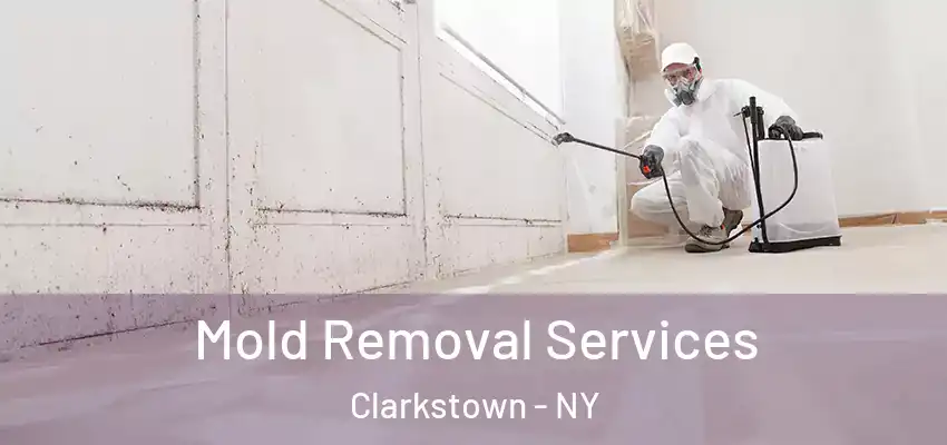Mold Removal Services Clarkstown - NY