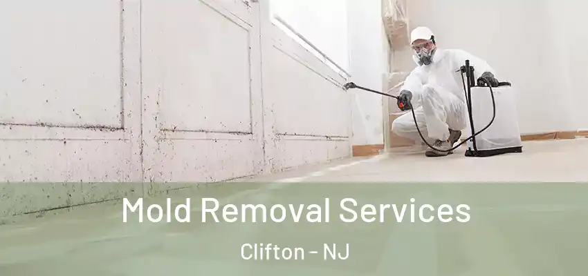 Mold Removal Services Clifton - NJ