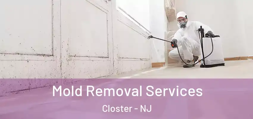  Mold Removal Services Closter - NJ