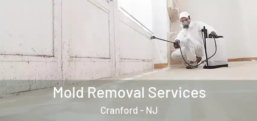  Mold Removal Services Cranford - NJ