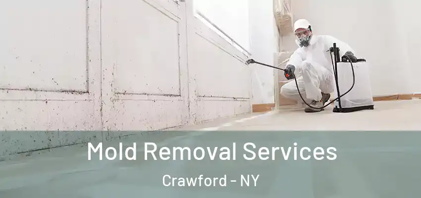  Mold Removal Services Crawford - NY