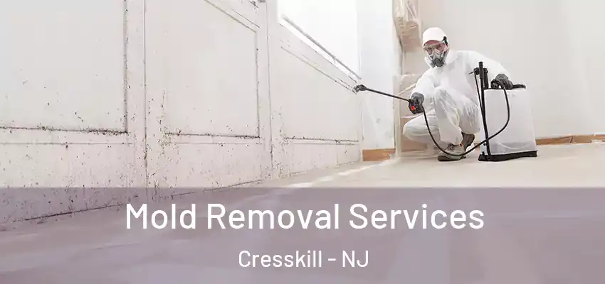 Mold Removal Services Cresskill - NJ