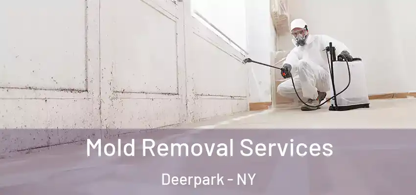 Mold Removal Services Deerpark - NY