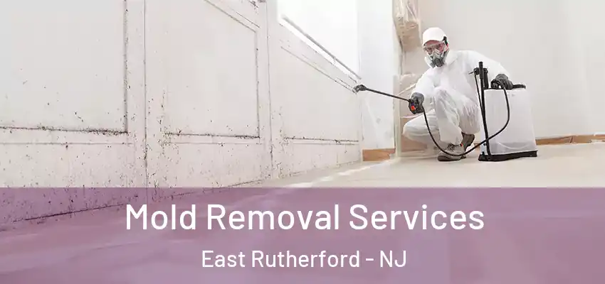 Mold Removal Services East Rutherford - NJ