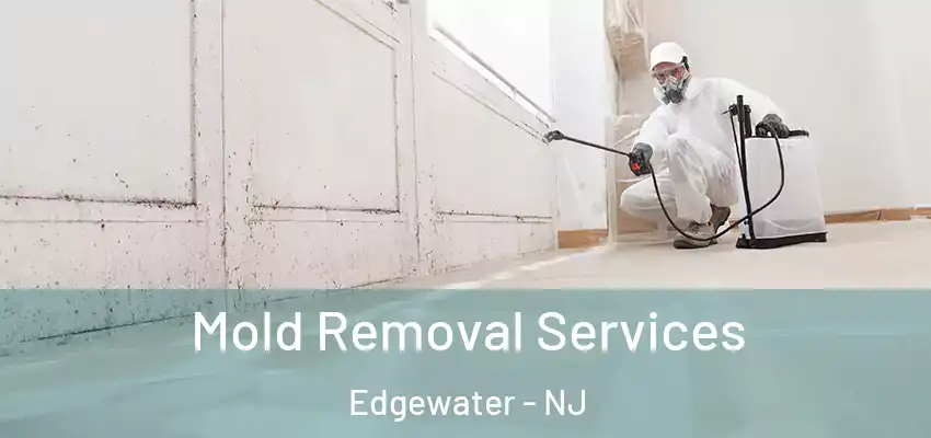  Mold Removal Services Edgewater - NJ