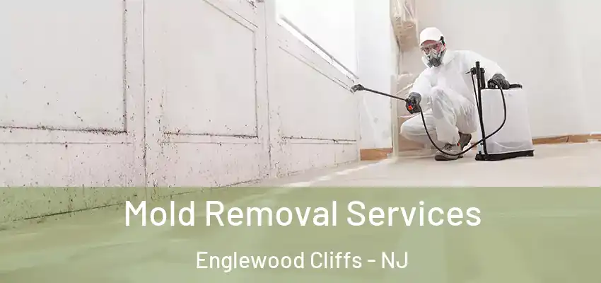  Mold Removal Services Englewood Cliffs - NJ
