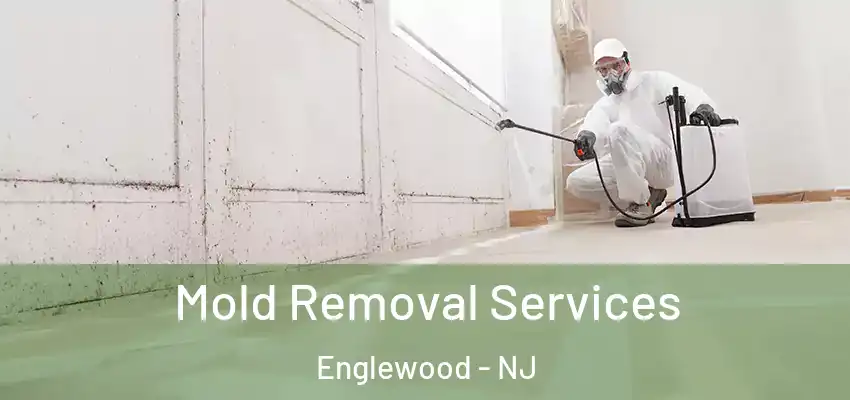 Mold Removal Services Englewood - NJ