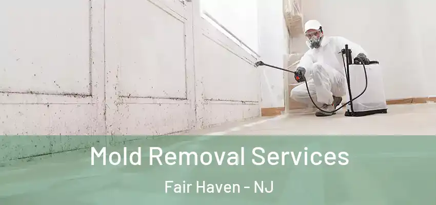  Mold Removal Services Fair Haven - NJ