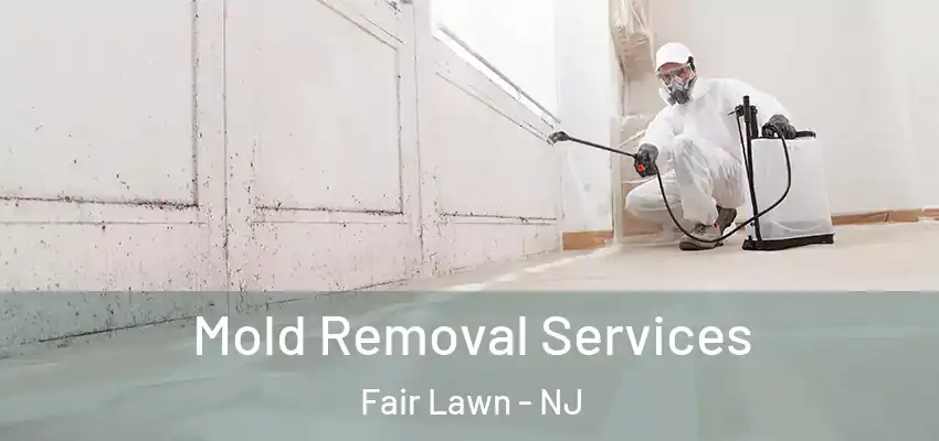  Mold Removal Services Fair Lawn - NJ