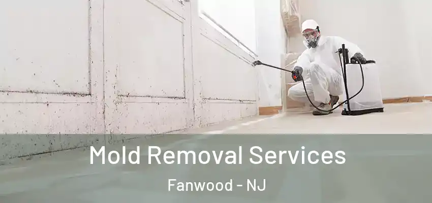 Mold Removal Services Fanwood - NJ