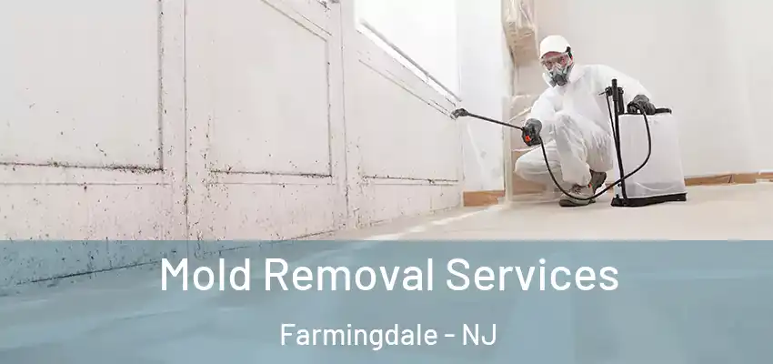 Mold Removal Services Farmingdale - NJ