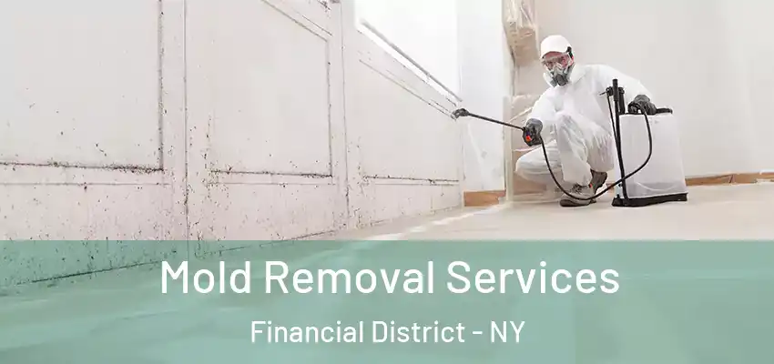 Mold Removal Services Financial District - NY