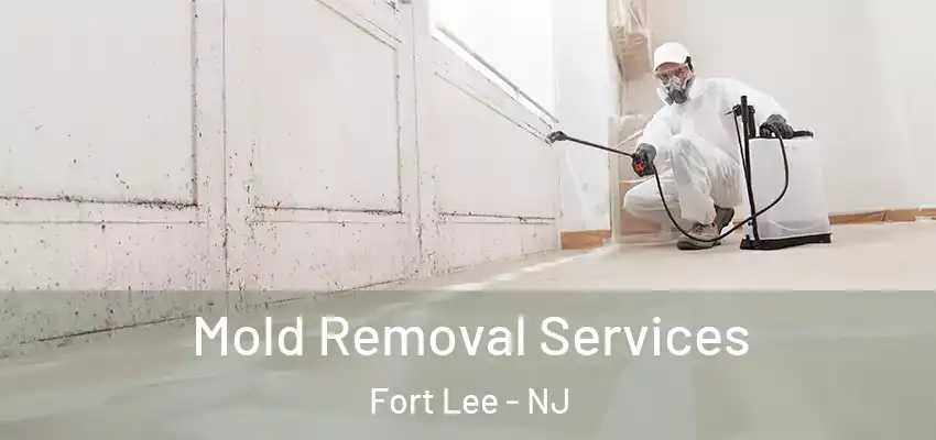Mold Removal Services Fort Lee - NJ