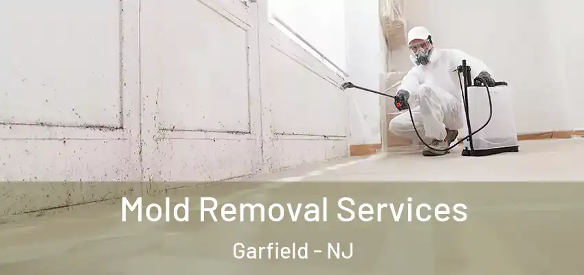 Mold Removal Services Garfield - NJ