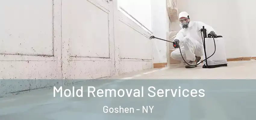  Mold Removal Services Goshen - NY