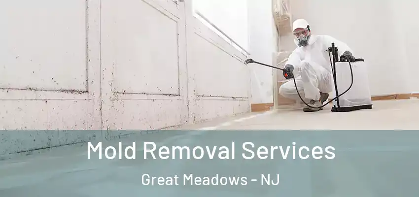 Mold Removal Services Great Meadows - NJ