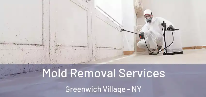 Mold Removal Services Greenwich Village - NY