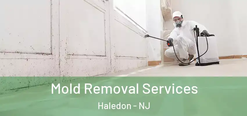  Mold Removal Services Haledon - NJ