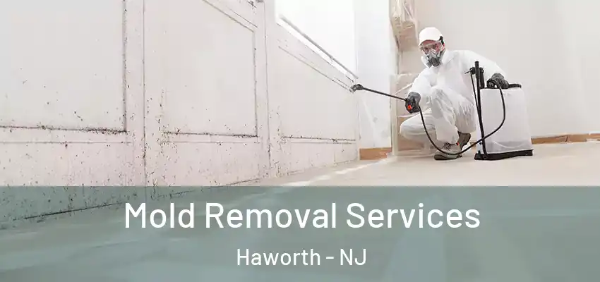 Mold Removal Services Haworth - NJ