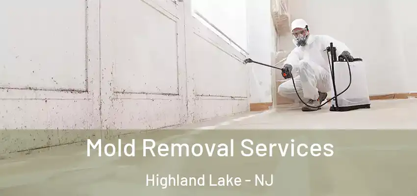  Mold Removal Services Highland Lake - NJ