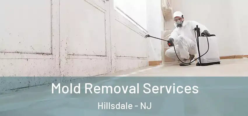 Mold Removal Services Hillsdale - NJ