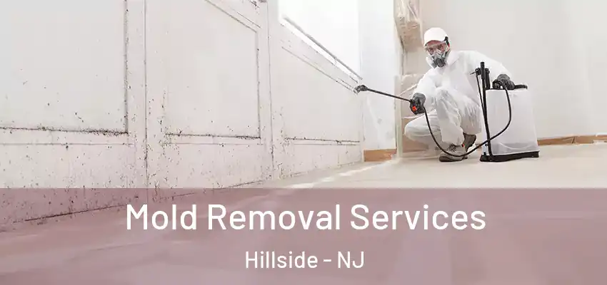 Mold Removal Services Hillside - NJ