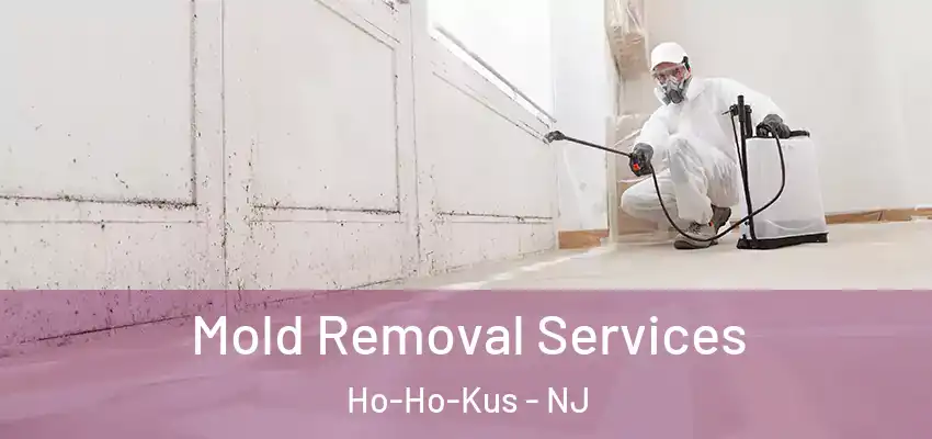  Mold Removal Services Ho-Ho-Kus - NJ