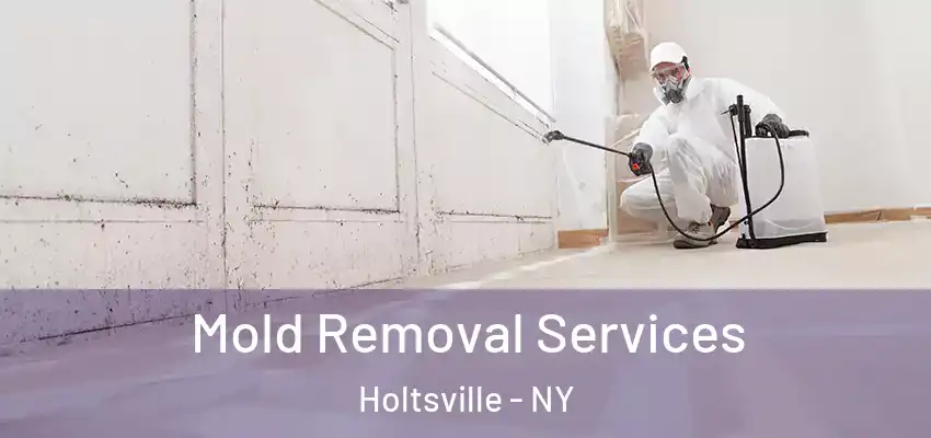 Mold Removal Services Holtsville - NY