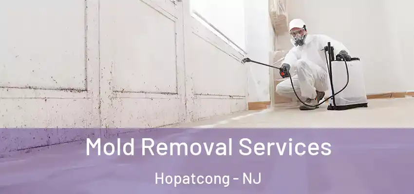 Mold Removal Services Hopatcong - NJ