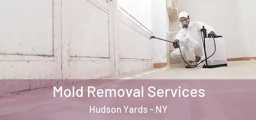 Mold Removal Services Hudson Yards - NY