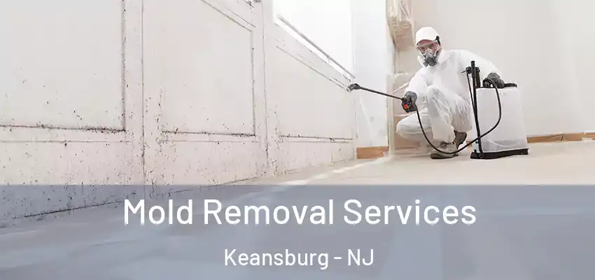 Mold Removal Services Keansburg - NJ