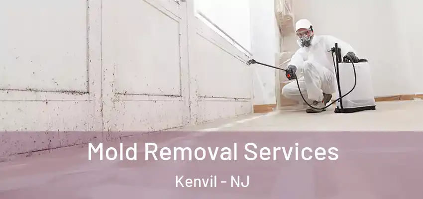 Mold Removal Services Kenvil - NJ