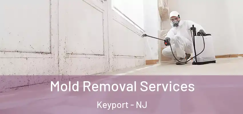 Mold Removal Services Keyport - NJ