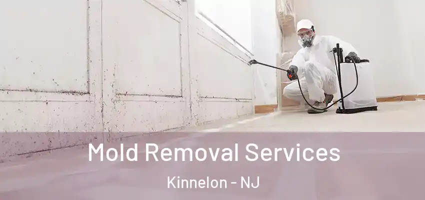 Mold Removal Services Kinnelon - NJ