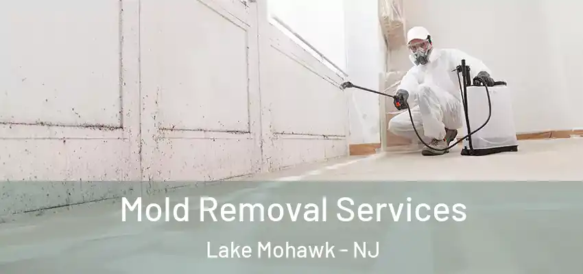  Mold Removal Services Lake Mohawk - NJ