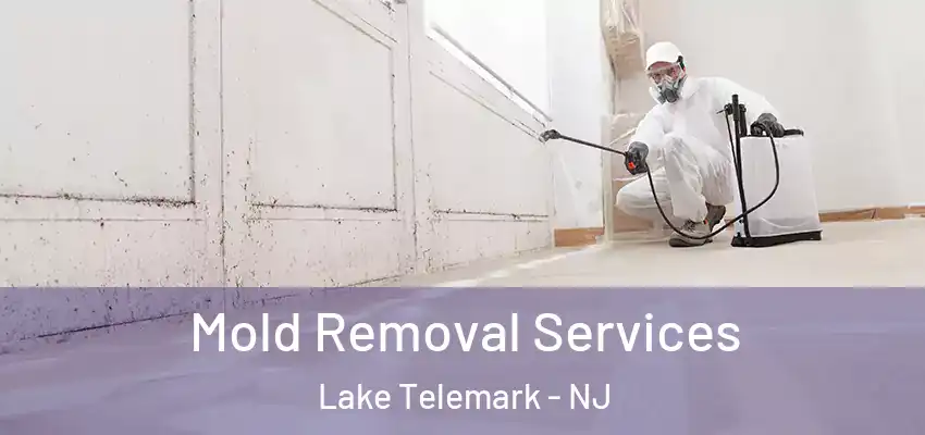 Mold Removal Services Lake Telemark - NJ