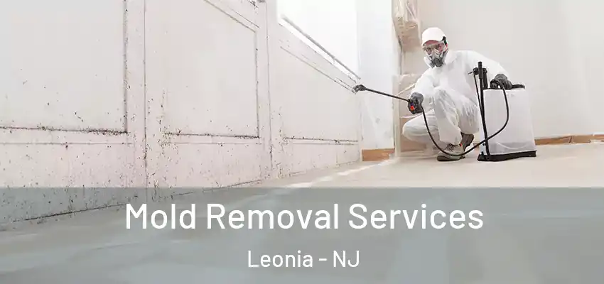  Mold Removal Services Leonia - NJ