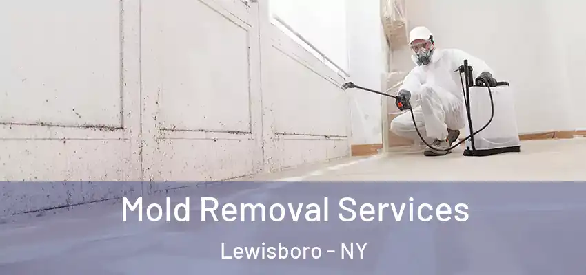  Mold Removal Services Lewisboro - NY