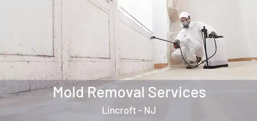  Mold Removal Services Lincroft - NJ