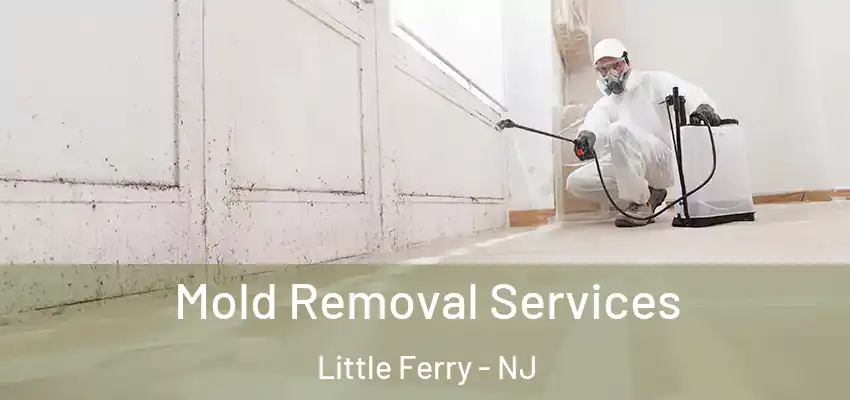 Mold Removal Services Little Ferry - NJ