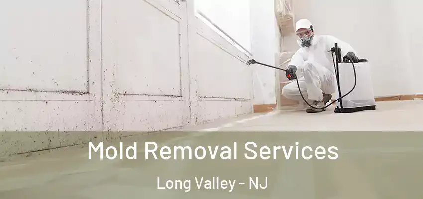 Mold Removal Services Long Valley - NJ