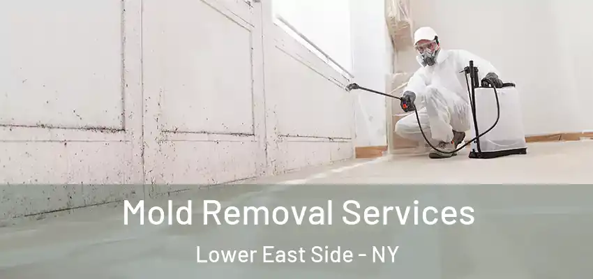 Mold Removal Services Lower East Side - NY