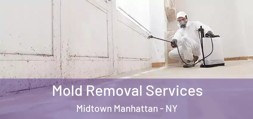 Mold Removal Services Midtown Manhattan - NY