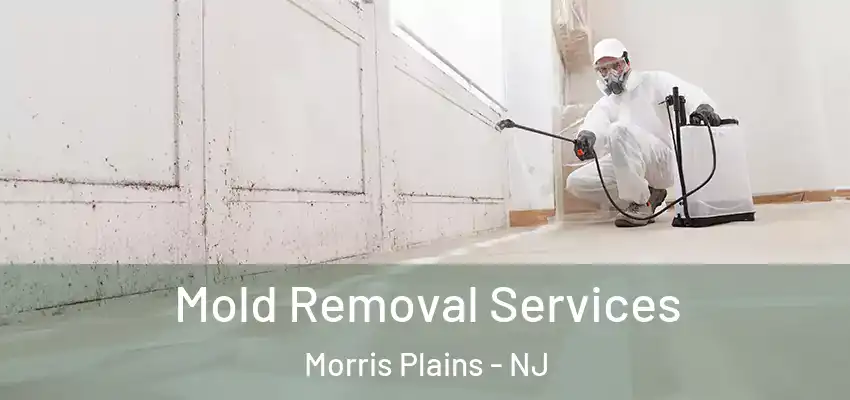 Mold Removal Services Morris Plains - NJ