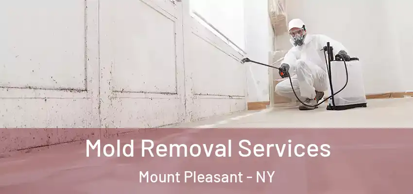  Mold Removal Services Mount Pleasant - NY