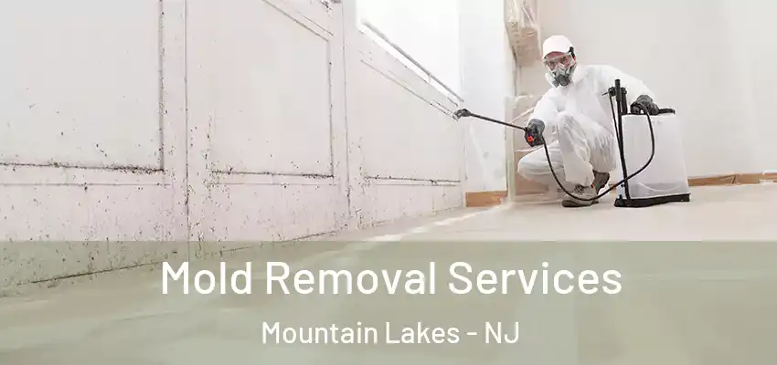 Mold Removal Services Mountain Lakes - NJ