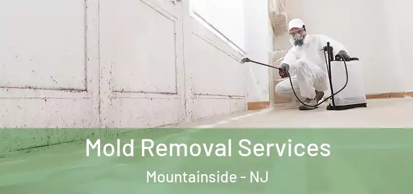 Mold Removal Services Mountainside - NJ
